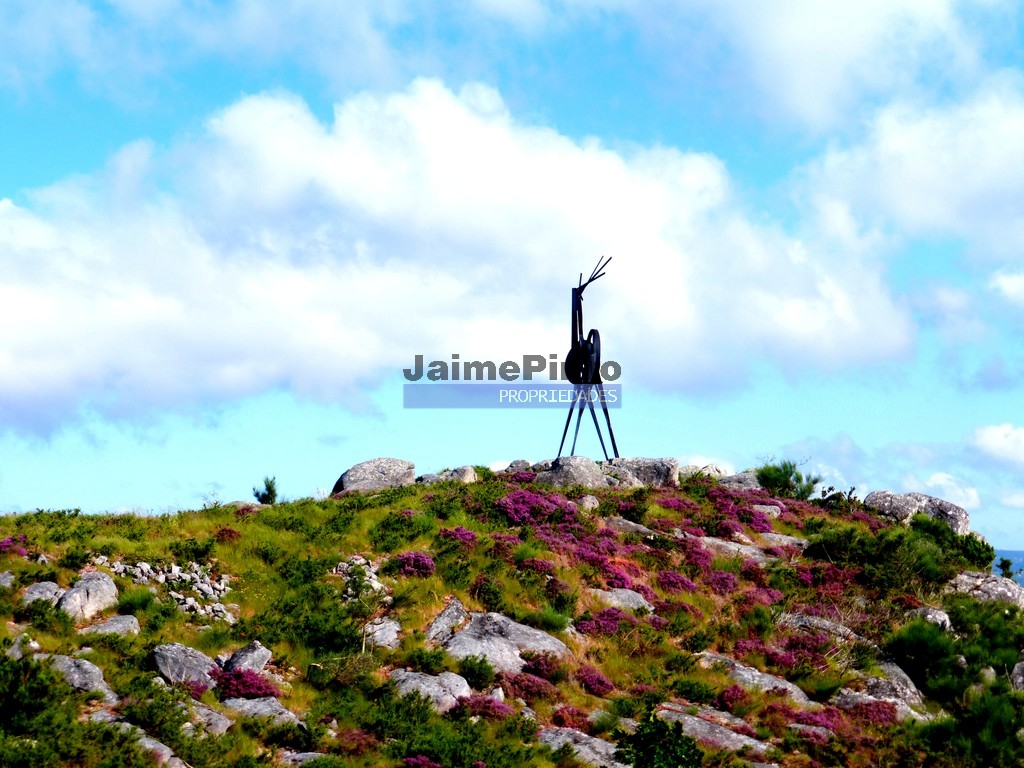 ST - VILA NOVA DE CERVEIRA