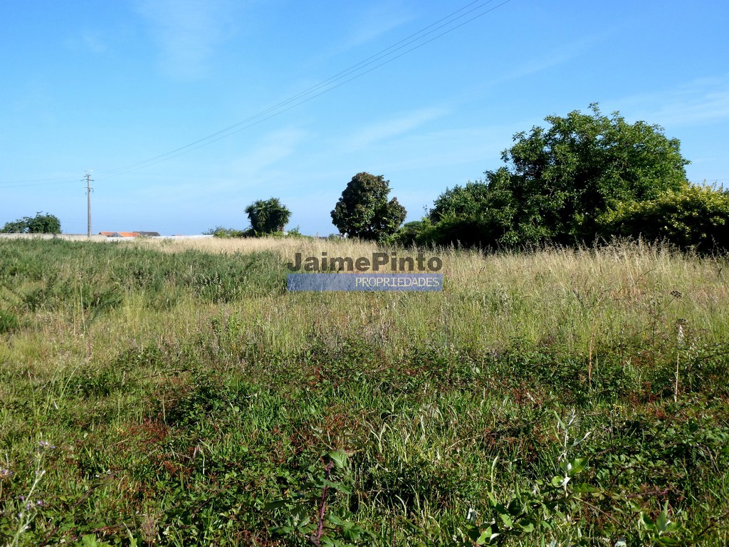 Terreno misto - ST - AVEIRO