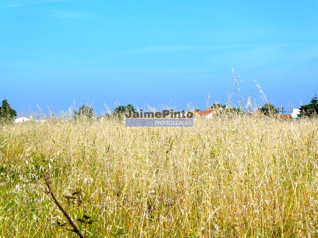 Terreno misto