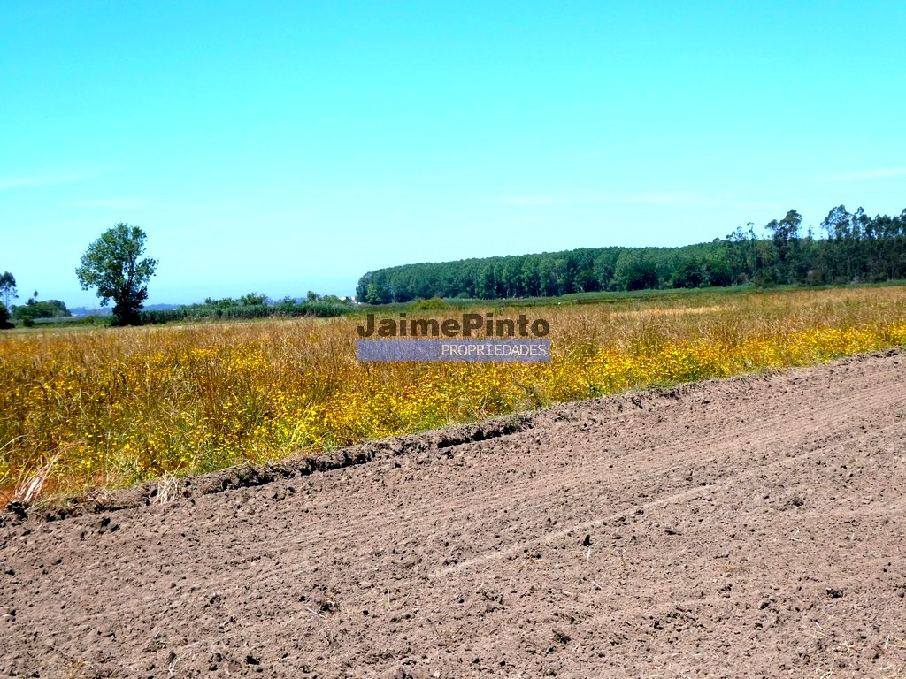Terreno p/ moradia